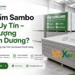 Mua tấm sambo ở đâu